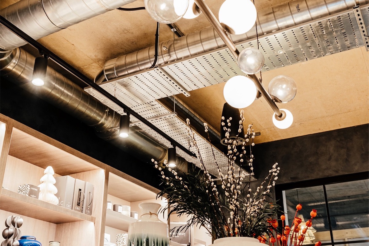 The Collective project photography