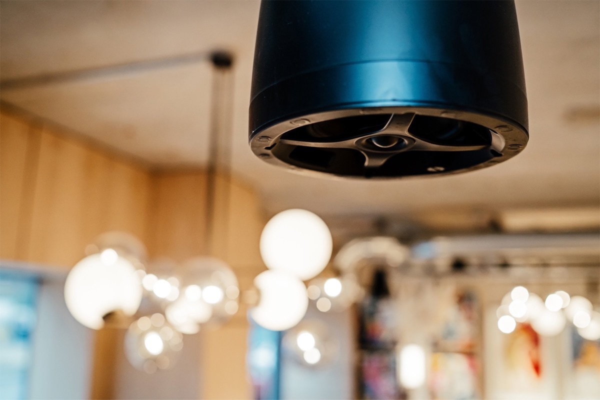 The Collective project photography